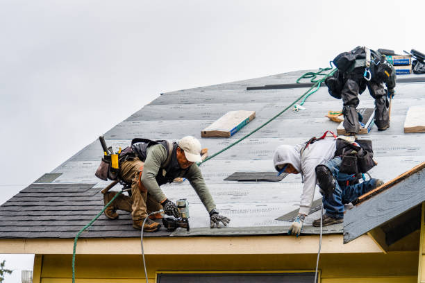 Professional Roofing technician working in New Ross, IN